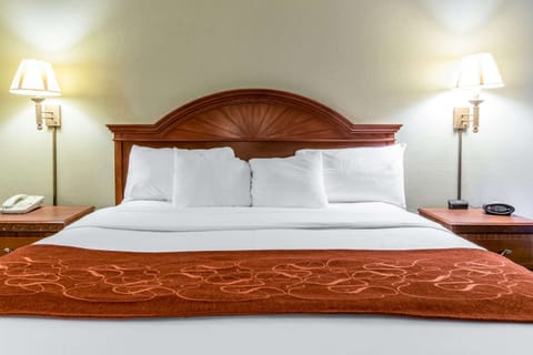 Suite, 1 King Bed with Sofa bed, Non Smoking | Down comforters, in-room safe, desk, blackout drapes