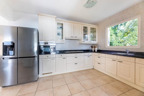 Villa Iguana | Private kitchen | Full-size fridge, oven, stovetop, dishwasher