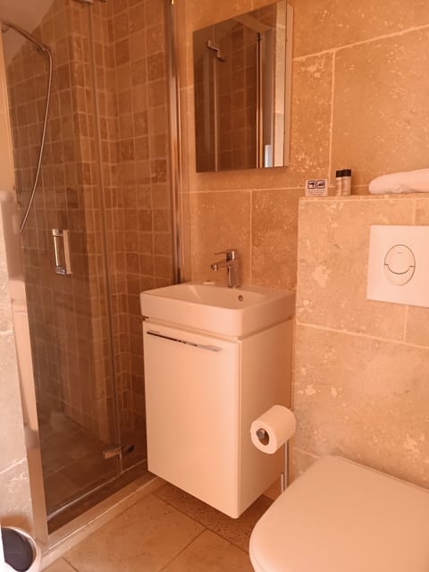 Panoramic Double Room | Bathroom | Free toiletries, towels