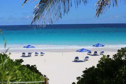 Beach nearby, beach umbrellas, beach towels, beach yoga