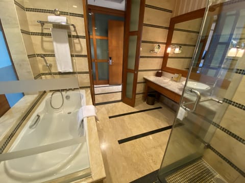 Separate tub and shower, free toiletries, hair dryer, bathrobes