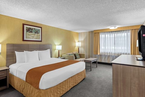 Premium bedding, pillowtop beds, in-room safe, individually decorated