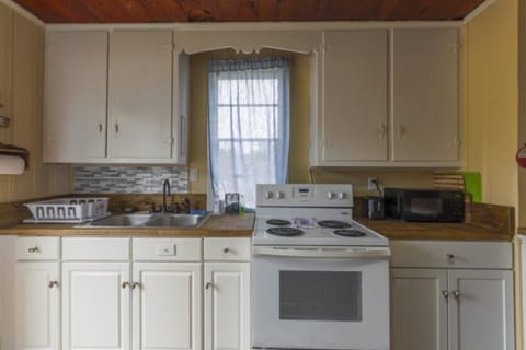 Panoramic Cottage, Non Smoking, Lake View | Private kitchen | Microwave, oven, coffee/tea maker, blender