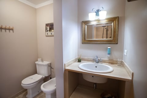 Deluxe Double Room | Bathroom | Hair dryer, bidet, towels, soap