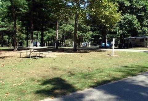 BBQ/picnic area