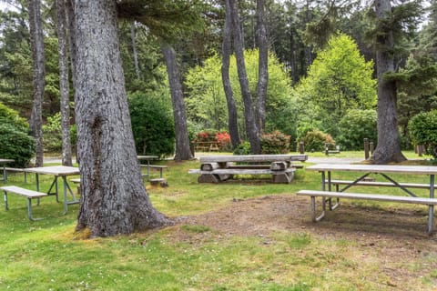 BBQ/picnic area