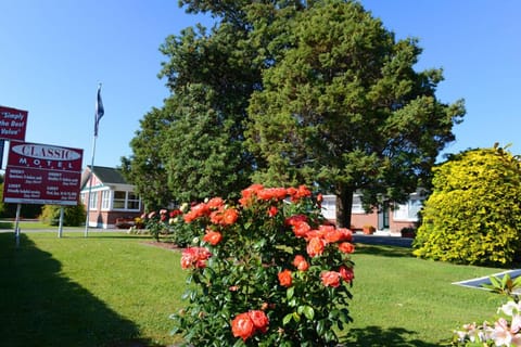 Check-in/check-out kiosk