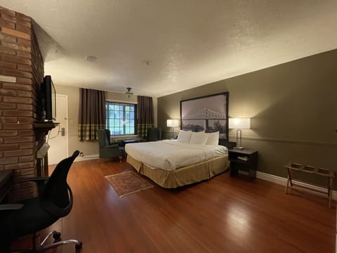 Executive Suite, 1 King Bed, Non Smoking | Desk, laptop workspace, blackout drapes, iron/ironing board