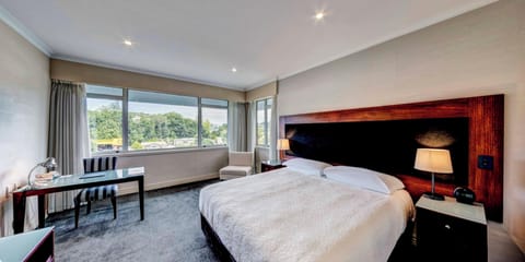 Premium Double Room, 1 King Bed | Minibar, laptop workspace, iron/ironing board, free cribs/infant beds