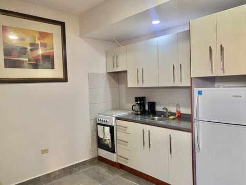 Apartment | Private kitchen | Fridge, microwave, oven, electric kettle