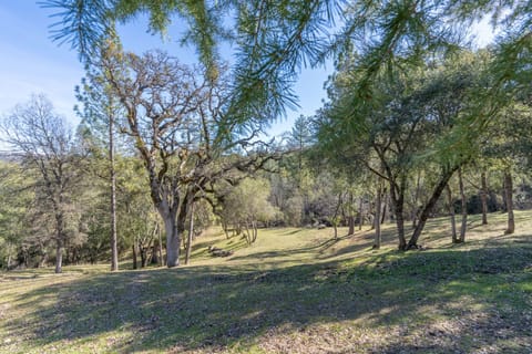 House, Multiple Beds, Hot Tub, Mountain View (Shuteye View Ranch) | View from room