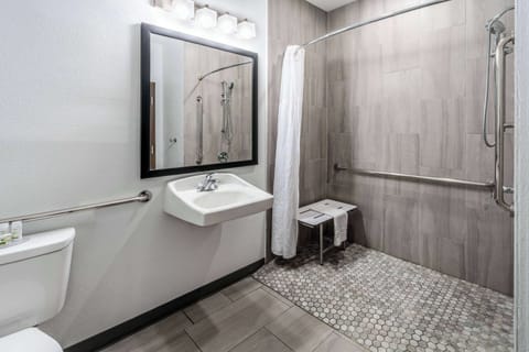 Room, 1 King Bed, Accessible, Non Smoking (Mobility,Roll-In Shower) | Accessible bathroom