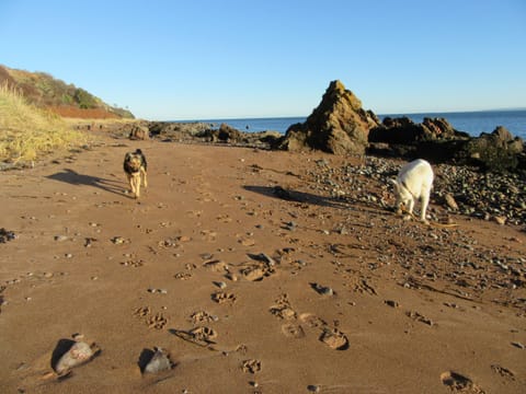 Family Cottage, Private Bathroom, Sea View | Beach