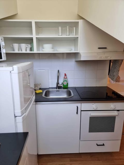 Apartment | Private kitchen | Fridge, microwave, oven, stovetop