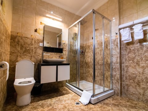 Double Room | Bathroom | Shower, hydromassage showerhead, hair dryer, towels