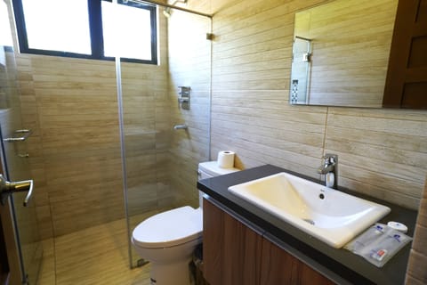 Family Triple Room | Bathroom | Shower, hydromassage showerhead, free toiletries, hair dryer