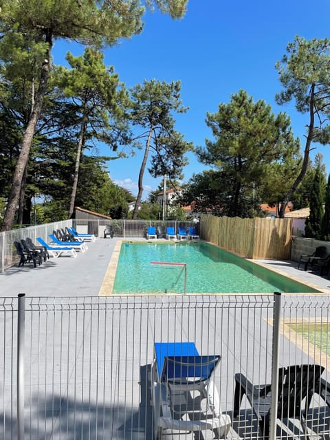 Seasonal outdoor pool, open 10:00 AM to 8:00 PM, sun loungers