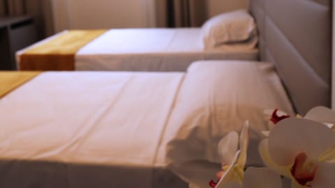 Basic Double Room | Premium bedding, minibar, in-room safe, desk