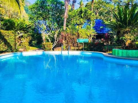 Family Room | Pool | Outdoor pool