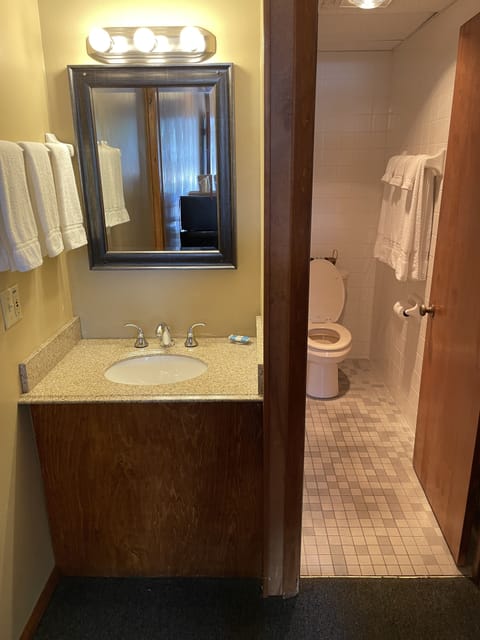 Deluxe Queen Suite | Bathroom | Combined shower/tub, towels