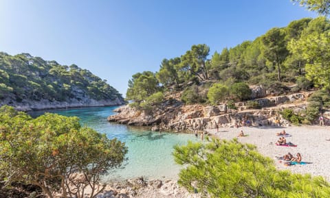 Beach nearby, white sand