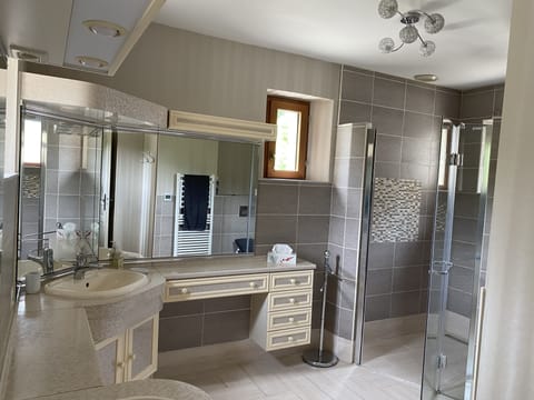 Premium Double Room | Bathroom | Shower, free toiletries, hair dryer, towels