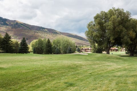 Condo, 2 Bedrooms | Golf