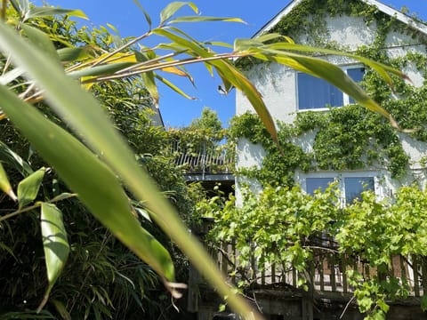 Cottage | Property grounds