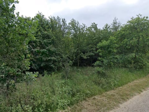 House | Miscellaneous