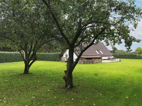 House | View from property