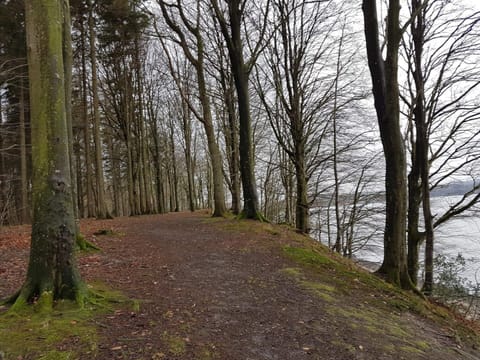 House | Miscellaneous