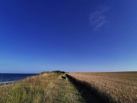 House | Miscellaneous