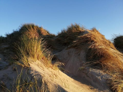 House | Miscellaneous