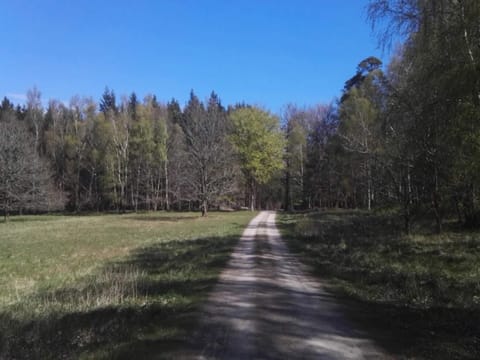 House | Miscellaneous