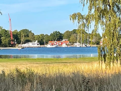 House | Miscellaneous