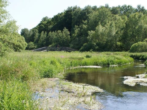 House | Miscellaneous