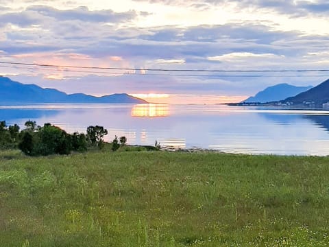 House | Property grounds