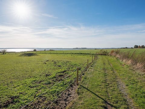 House | View from property