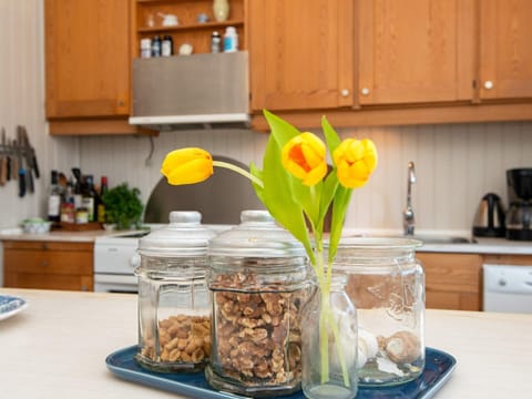 House | Private kitchen