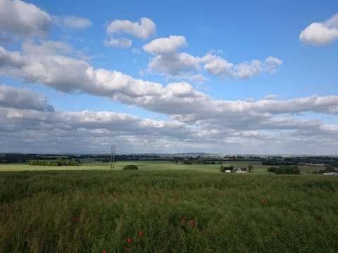 House | Miscellaneous