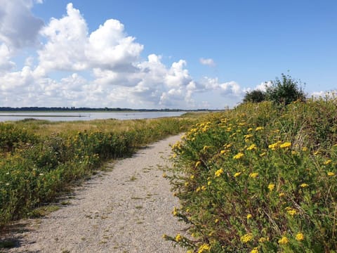 Apartment | Miscellaneous