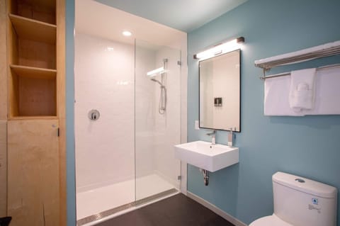 Combined shower/tub, free toiletries, hair dryer, towels