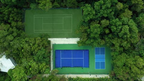 Tennis court