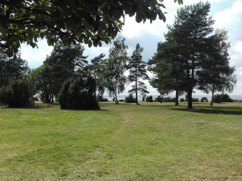 House | Miscellaneous