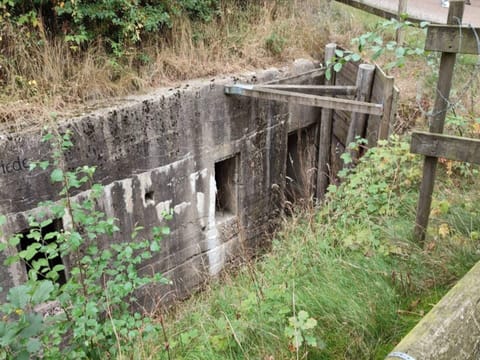 House | Miscellaneous