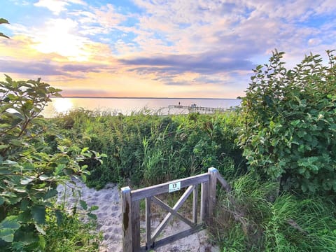 House | Beach