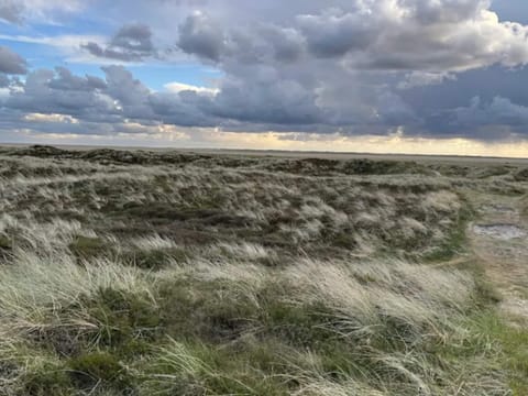 House | Miscellaneous