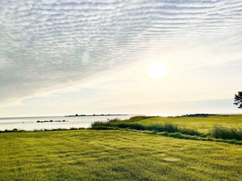 House | Miscellaneous