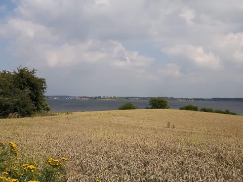 Apartment | Miscellaneous