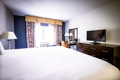 Deluxe Room | Individually decorated, individually furnished, desk, laptop workspace